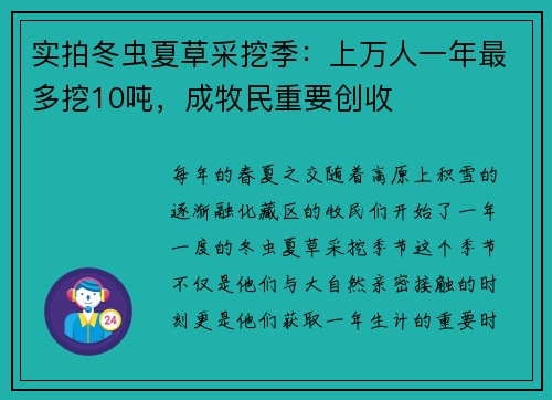 实拍冬虫夏草采挖季：上万人一年最多挖10吨，成牧民重要创收