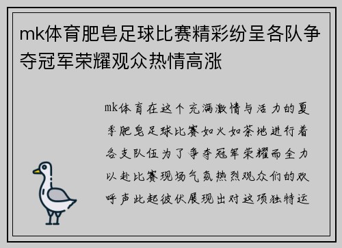 mk体育肥皂足球比赛精彩纷呈各队争夺冠军荣耀观众热情高涨